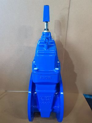 DN40-DN1200 Cast Iron Resilient Seat Gate Valves OEM Anti Corrosion Coating